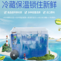 宏正(ATEN) PU拉杆保温箱家用母乳保鲜箱