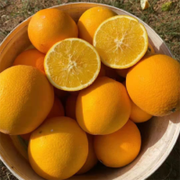 新鲜水果 当季水果 橙子 5斤装 赣南脐橙