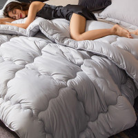 金号(KING SHORE) 单人被子芯(图片颜色仅供参考)