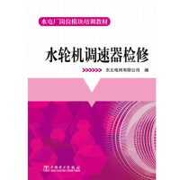 水轮机调速器检修_2020b1009500