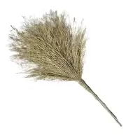 三清 竹扫把 马路大扫把扫帚笤帚(把)