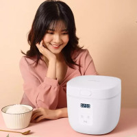 康佳(KONKA)KRC-RS25 电饭煲 家用2L迷你小型电饭锅智能蒸饭锅多功能电热锅 智能预约