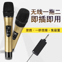 音响无线话筒 一拖二金色@