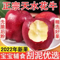 [五个农民][粉糯香甜]甘肃天水花牛苹果5斤80-90mm礼盒装新鲜水果宝宝辅食可刮泥