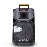 山水(SANSUI) SS1蓝牙户外拉杆演出活动广场舞音响大功率K歌消原唱直播移动家用KTV卡包音响 SS1-08豪华版