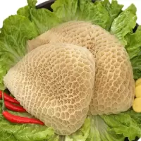 新鲜 金钱肚