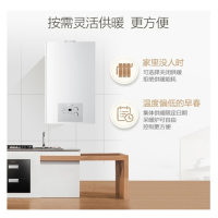 一洲 壁挂炉L1PB20-YZ 采暖炉家用 地暖锅炉暖气片天然气恒温热水器两用(单位:套)