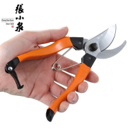 张小泉 春悅整枝剪园林 剪修枝剪 剪枝剪 果树剪 园艺剪园艺工具ZH-301