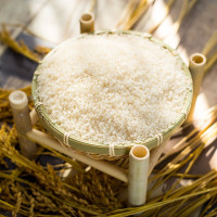 香荷圣源 扬州生态香米梗米家庭常备