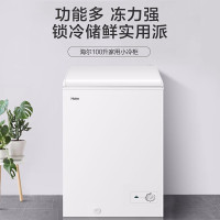 海尔(Haier) BC/BD-100GHZ 冰柜家用 卧式单温小冰柜 冷藏冷冻转换一级节能冷冻冰柜