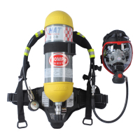 海安特 RHZKF9/30 正压式空气呼吸器 9L(单位:套)