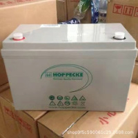 蓄电池(风帆UPS100A)