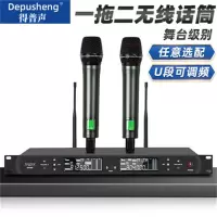 得普声家用音视频设备(含无线话筒、话筒支架配置)+安装