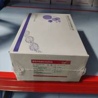 迈瑞 酵母样真菌检测试剂盒(单位:10检测/盒)