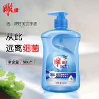 雕牌 海盐洗手液500ml