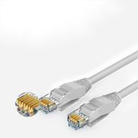 十度五类网线带水晶头5米普通类双胶线/根 BY