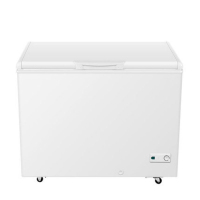 北美电器BC/BD-319HCM卧式冰柜