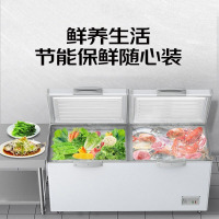 乐创(lecon)卧式冰柜商用大容量718型 LC-WSBG