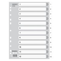 齐心 IX894 易分类 年度索引纸 A4 12页1-12 11孔 PP yz