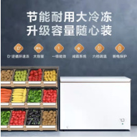 Mentch 商用卧式大冷冻冰柜 冷藏冷冻转换冷柜 卧式冰箱