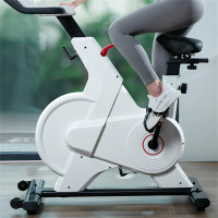 智选舒华动感单车室内磁控家用健身自行车旗舰店B399-P