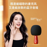 小巨蛋 G2麦克风