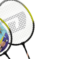 Ganas 羽毛球拍 1012 黑绿双拍 HSX