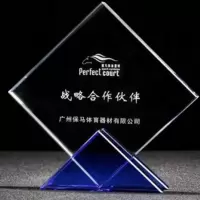 忠诚服务奖专属定制logo奖杯16/18cm