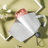 菲驰 晴雨伞 vs005 yz