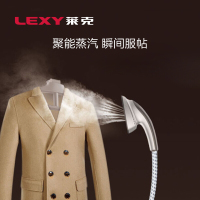 莱克(LEXY)蒸汽挂烫机家用挂烫机高温杀菌烫衣服熨烫熨斗带熨烫板GT307