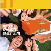 来伊份  伊份臻情