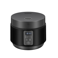 先科(SAST) 微电脑多功能电饭煲 EC301