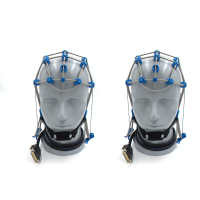 芯明天 脑电电极帽(盐水式)64导 成人M号 JZ064