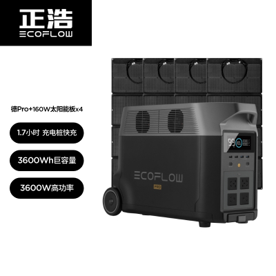 ECOFLOW正浩新品德 Pro3600Wh户外移动电源房车游艇移动电站大容量大功率户外电站德 Pro+4块160W太阳