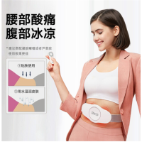 SKG 腰部按摩器BW3 智能遥控 脉冲理疗仪护腰带 按腰神器(单位:台)