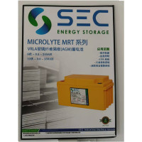 SEC 12-TLG-80 蓄电池 306*169*215 (一只装)