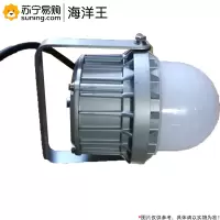 海洋王 LED泛光灯 ok-9187