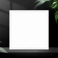 诚善 LED平面灯 30*30cm 吸顶灯单位:个