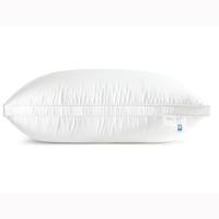 爱飞扬枕芯/个