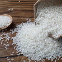 极白 苏鲜生珍珠米 圆粒米 有机生态米