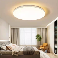 雷强照明803卧室吸顶灯三色变光 yz