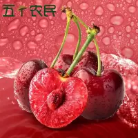 [五个农民]智利进口santina桑提娜JJJ级车厘子1000g红宝石樱桃时令新鲜水果顺丰空运核酸检测安全放心