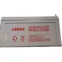山奥蓄电池 NPG12-50