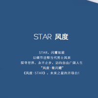 万事利丝巾 星河