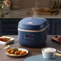 西屋Westinghouse  智能电饭煲WRC-0511