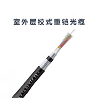 宝工 96芯GYFTY室外非金属光缆 层绞式非铠装单模光纤线 管道光缆防强电击穿100米 ZT-GYFTY-96B1.3