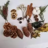 蒙凱儷 天然松果松塔干树枝 干花包