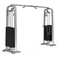 康强 商用大飞鸟小飞鸟龙门架十字拉力训练器 1013B大飞鸟龙门架