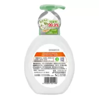 秦泰(Cqint) 超能泡沫抑菌祛味清新洗手液(袪味清香)12瓶/箱