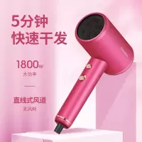 西屋(WESTINGHOUSE) H106/WT-502S 西屋负离子电吹风机+电动牙刷WT-502S